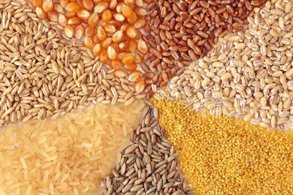 Grains & Seeds