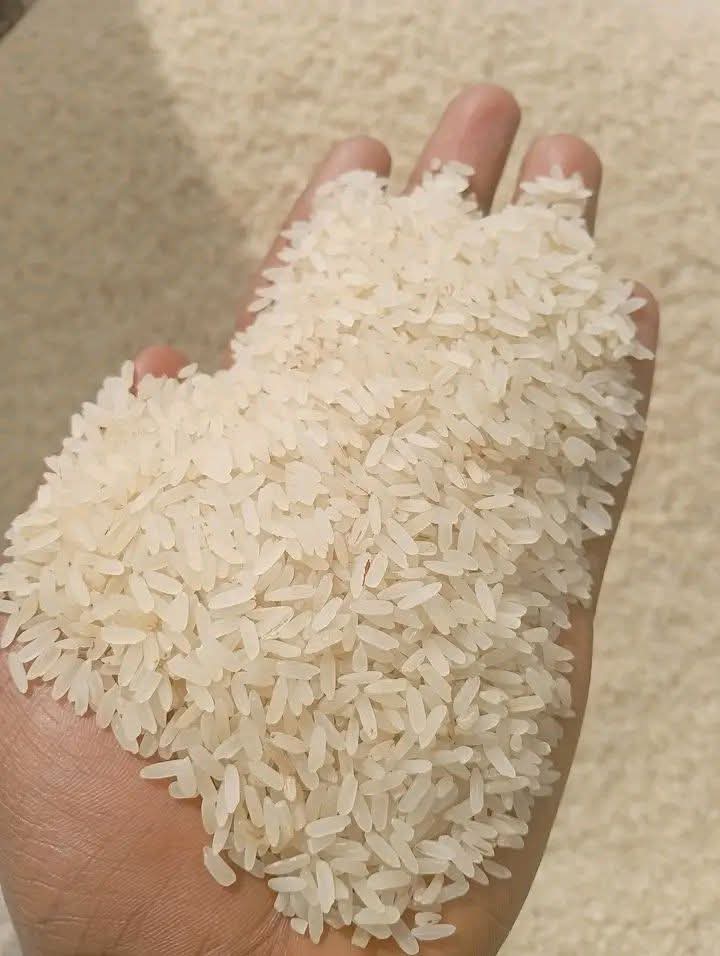 Rice
